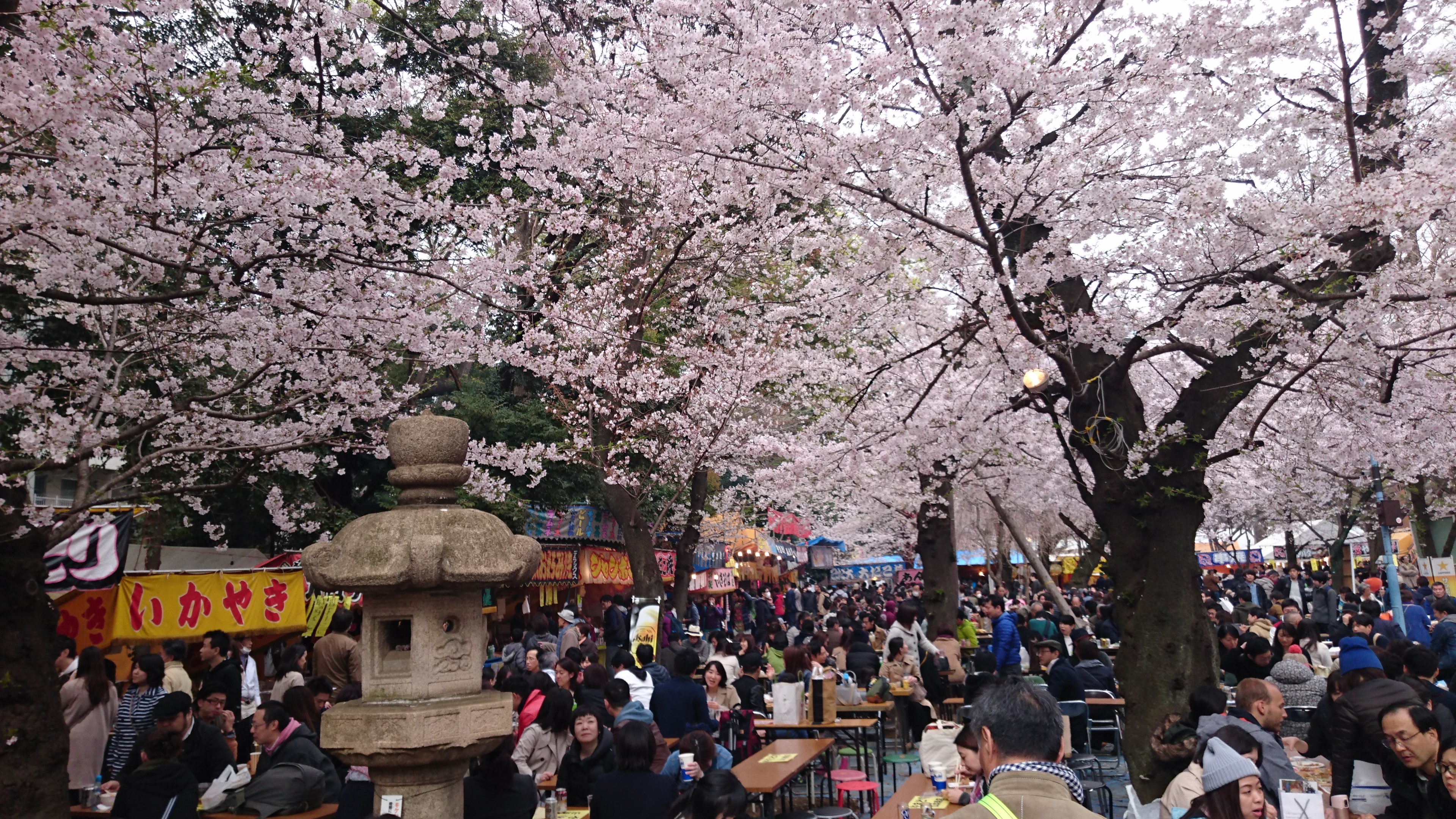 靖国神社は屋台が多く、テーブルも