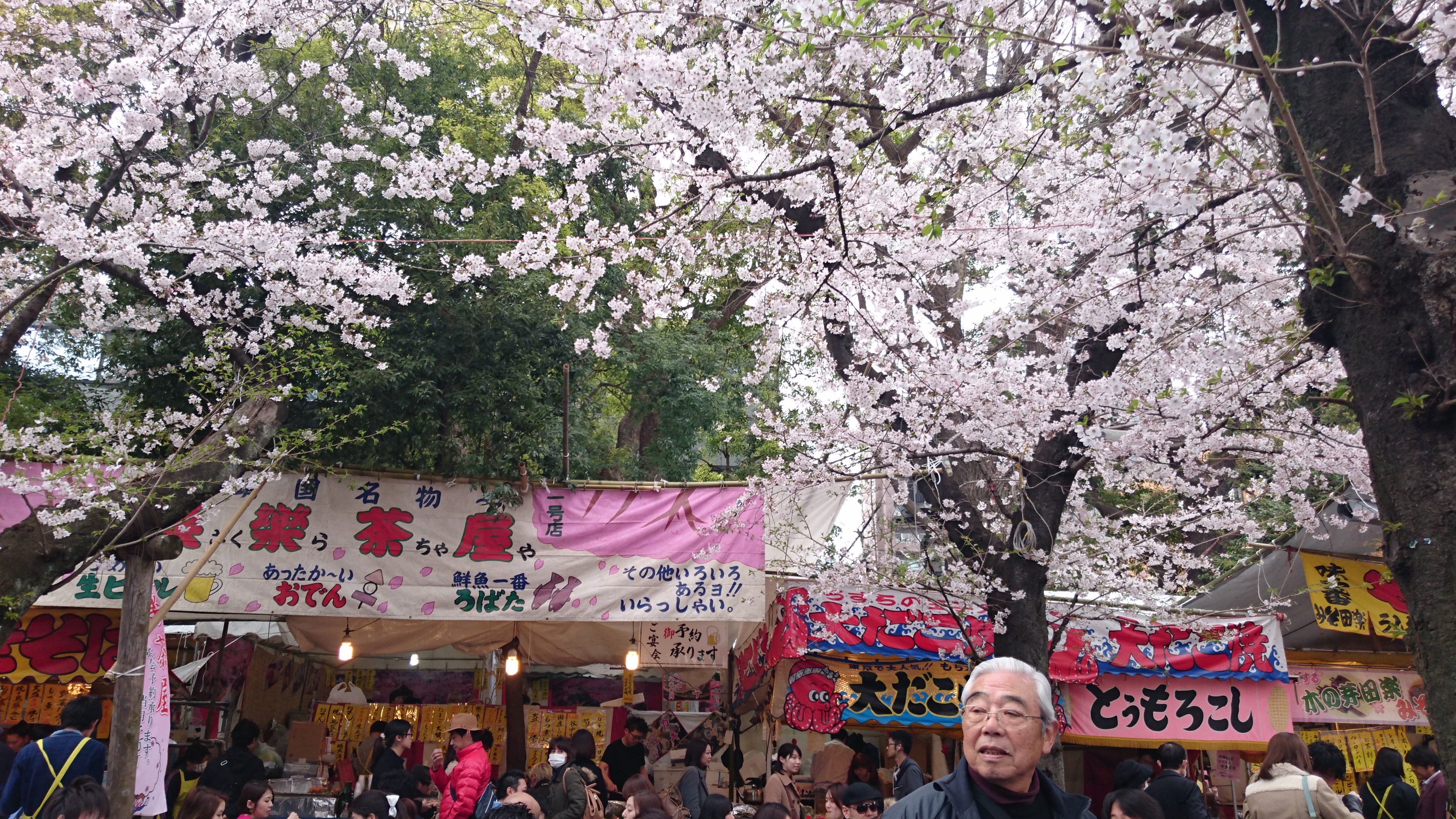 屋台の近くのテーブル席に座って、ご飯もお酒も桜も楽しめる。