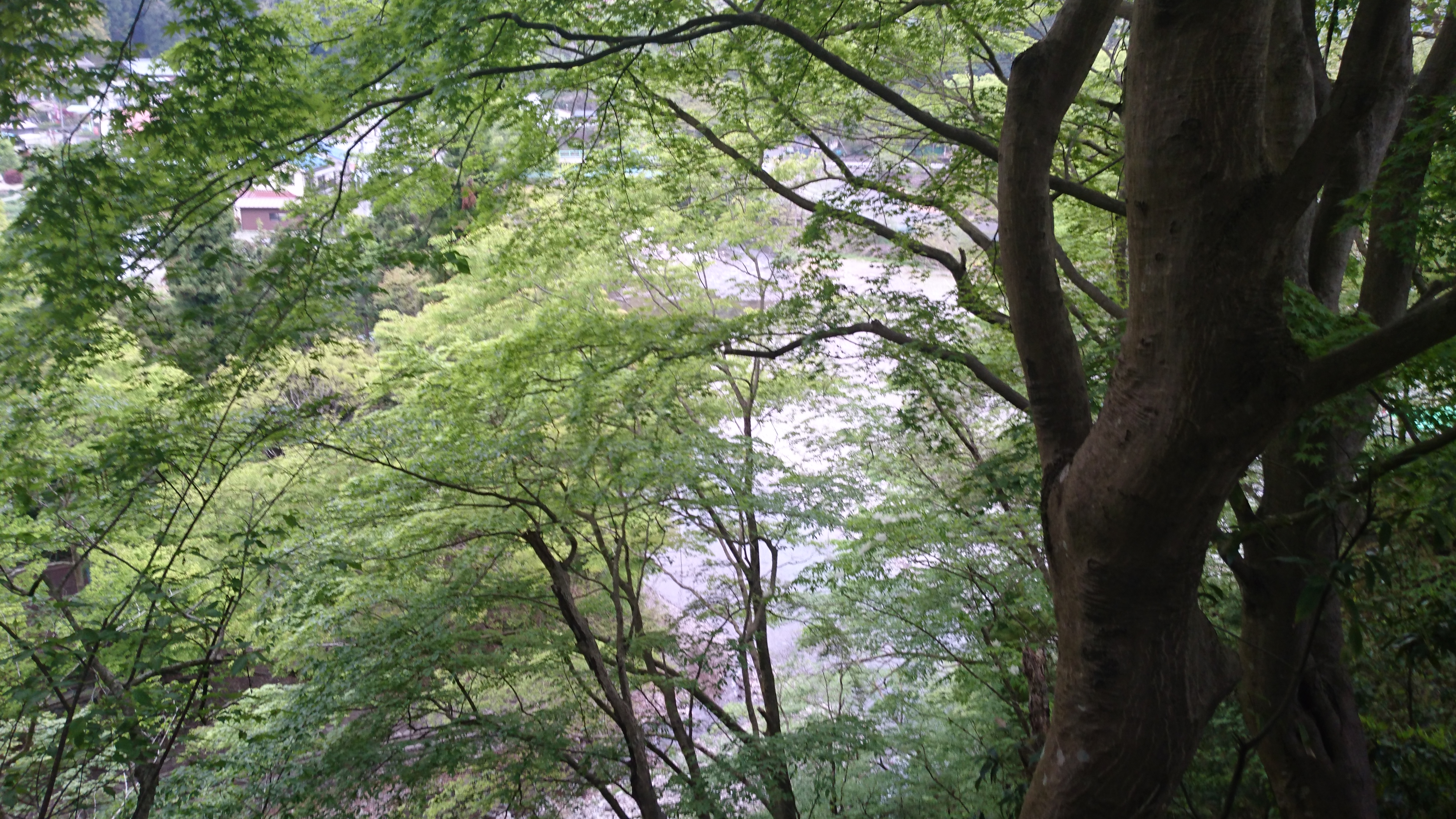 秋川渓谷