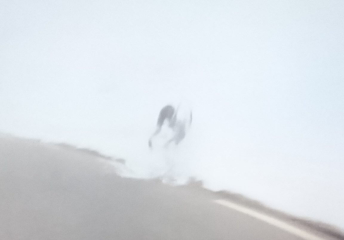 クライシュバイクの落車